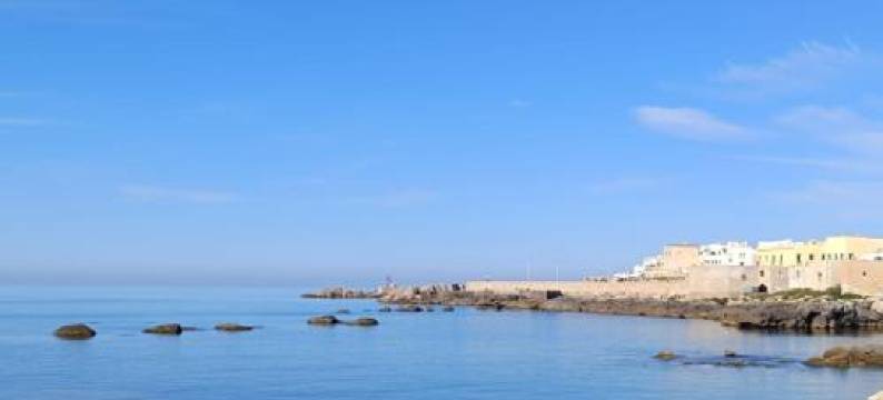 阿里奥斯托住宿加早餐旅馆(B&B Ariosto)图片