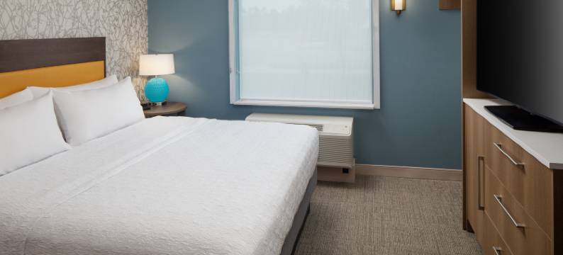 威尔明顿希尔顿惠庭酒店(Home2 Suites by Hilton Wilmington Medical Park Downtown)图片