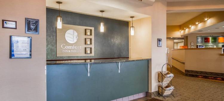 舒适酒店及套房麦迪逊机场(Comfort Inn & Suites Madison - Airport)图片