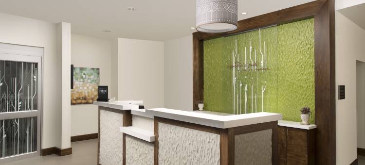 圣安东尼奥机场南希尔顿花园酒店(Hilton Garden Inn San Antonio Airport South, TX)图片