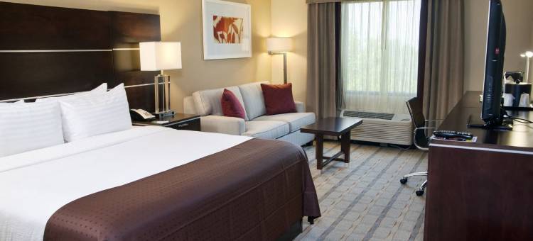 夏洛特机场假日酒店(Holiday Inn Charlotte-Airport Conf Ctr)图片