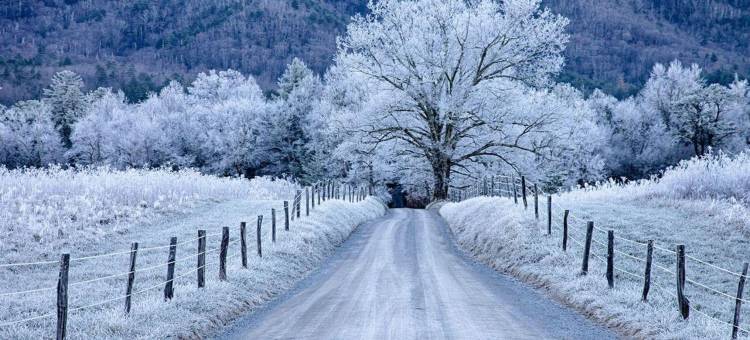 壮观的带热水浴缸壁炉按摩浴缸的家(Hawks Nest by Beyond Expectations W Hot Tub)图片