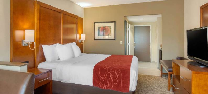 南方公园舒适套房酒店(Comfort Suites Southpark)图片