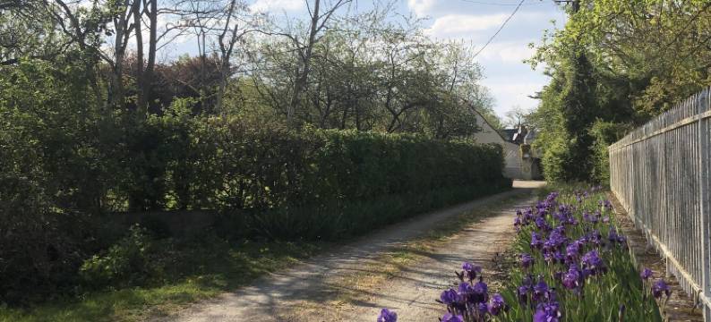 卡桑德拉别墅旅馆(Villa Cassandre)图片