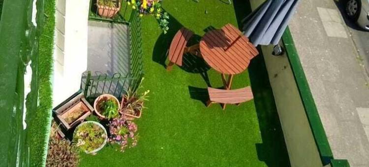 OYO小艾米丽(OYO Little Emily)图片