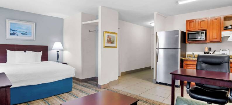 艾迪生 - 达拉斯美茵斯坦套房酒店(MainStay Suites Addison-Dallas)图片