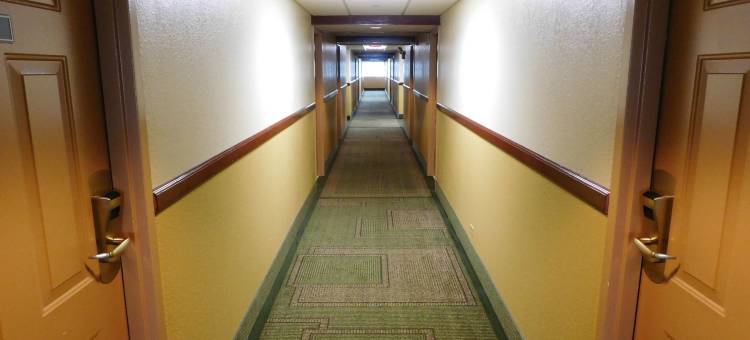 阿灵顿高地戴斯套房酒店(Days Inn & Suites by Wyndham Arlington Heights)图片