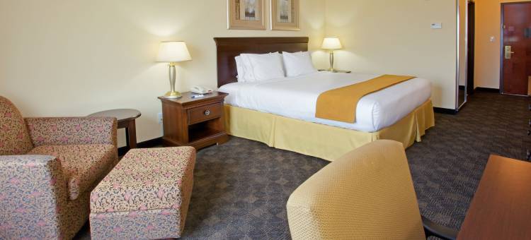 智选假日套房酒店皮尔兰(Holiday Inn Express & Suites Pearland)图片