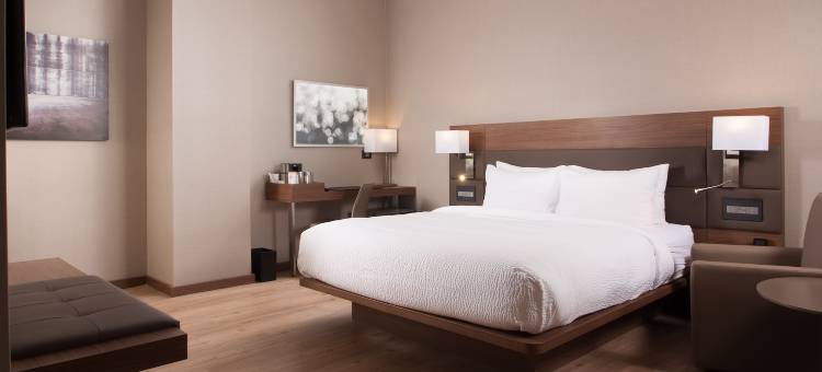 新奥尔良法国区万豪AC酒店(AC Hotel New Orleans French Quarter)图片