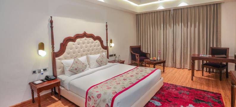 雅姆巴拉中心城市维拉斯宫殿(Regenta Central City Vilas Palace Ambala)图片