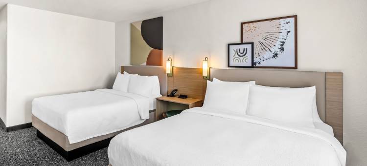 Spark by Hilton Killeen图片