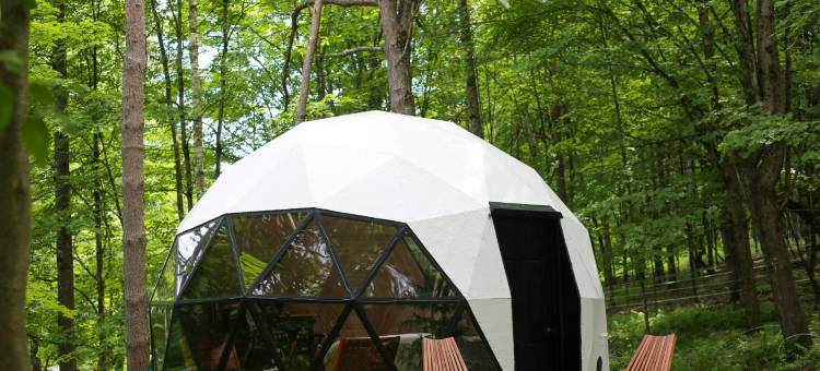 Amanita Dome. All-Inclusive Food and Drinks.图片