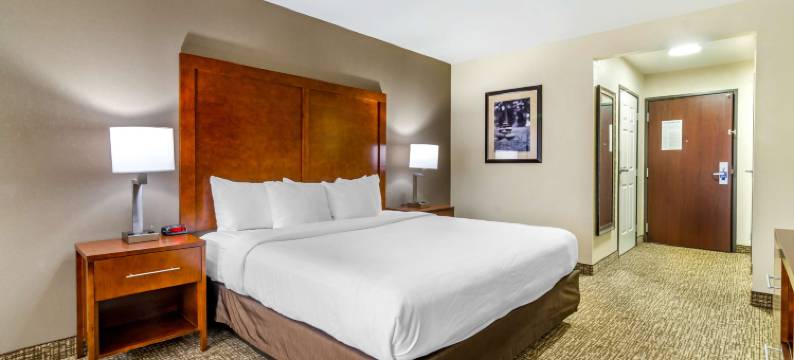 近伯特利学院舒适套房酒店(Comfort Inn & Suites Near Bethel College)图片