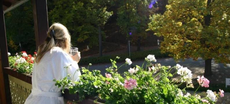 KURHOTEL巴德苏德罗德(Kurhotel Bad Suderode)图片