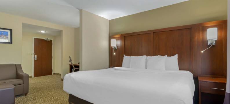 舒适套房酒店-肯纳瑟州立大学(Comfort Suites at Kennesaw State University)图片