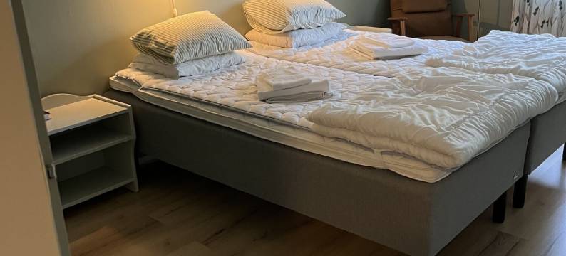 特吕纳旅舍及会议中心-旅舍(Trunna Vandrarhem & Konferens)图片