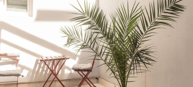 L&B露天剧场公寓(L&B Amphitheater Apartments)图片