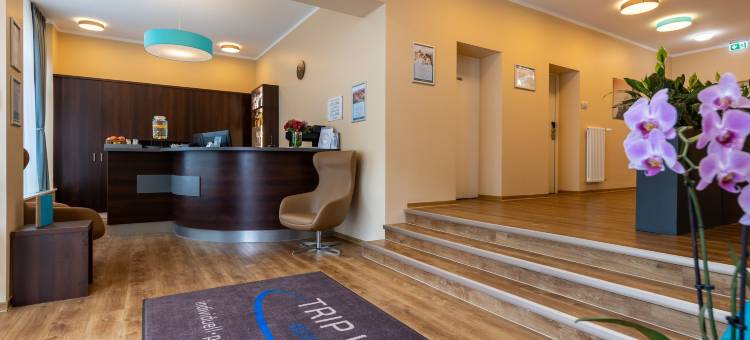 梅斯韦斯滕德市旅行旅馆(Trip Inn Hotel Messe Westend)图片