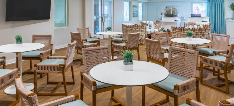 棕榈海滨酒店(The Palms Oceanfront Hotel)图片