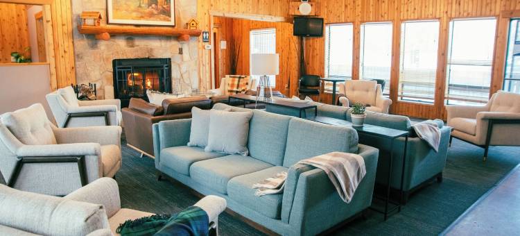 Miette Mountain Cabins图片