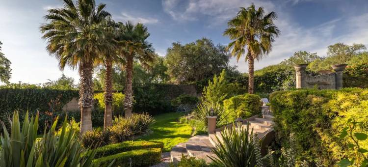 拉斯帕尔马斯之家，圣米格尔-德阿连德(Casa Las Palmas & Suites, San Miguel de Allende)图片