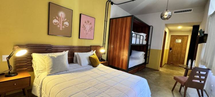 瓜达拉哈拉赛琳娜酒店(Hotel Olá Chapultepec)图片