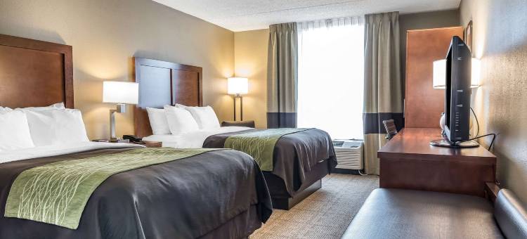 皮夸舒适套房酒店-近特洛伊-I75(Comfort Inn & Suites Piqua-Near Troy-I75)图片