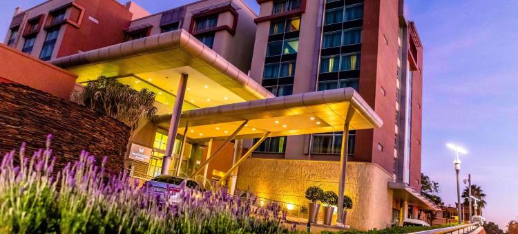 罗斯班克南方太阳酒店(Southern Sun Rosebank, Johannesburg)图片