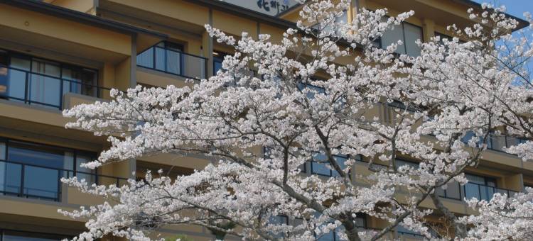 琵琶湖花街道(BIWAKO HANAKAIDO)图片