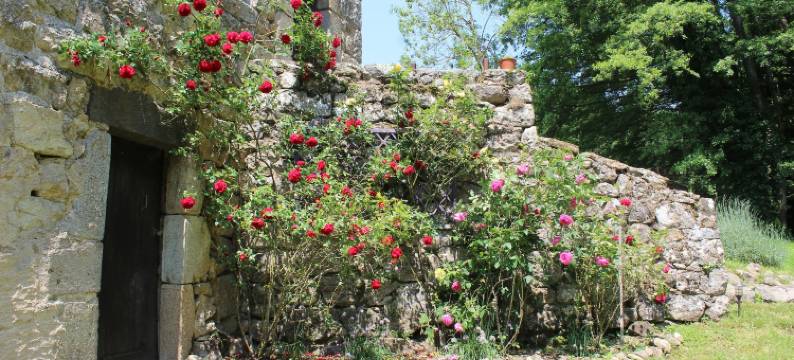 布匈康帕涅酒店(Le Bouchon de Campagne)图片