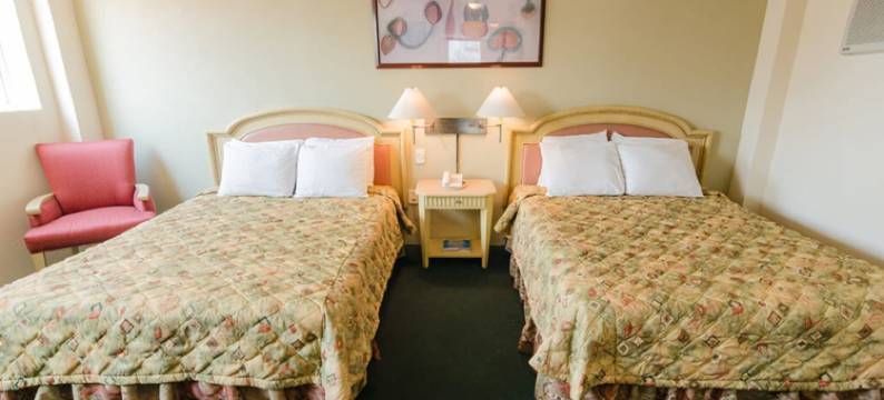 旧金山伊拉普阿托商务酒店(Hotel San Francisco Irapuato Business Class)图片