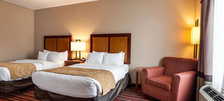 萨尔弗 - 查尔斯湖舒适套房酒店(Comfort Suites Sulphur-Lake Charles)图片