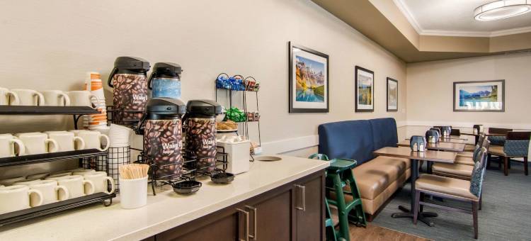 红鹿舒适套房酒店(Comfort Inn & Suites)图片