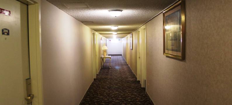 莎莉玛尔酒店-拉斯维加斯(Shalimar Hotel of Las Vegas)图片