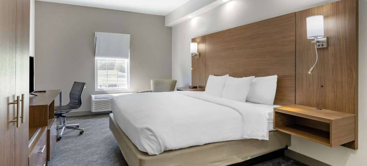 舒适酒店(Comfort Inn)图片