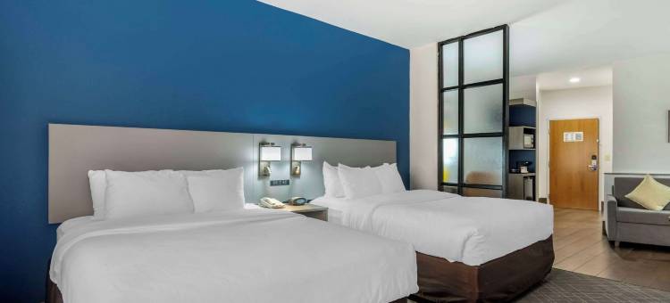 舒适套房酒店(Comfort Suites)图片