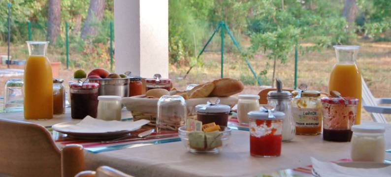 德诺斯蒂别墅旅馆酒店(Villa Donosti Chambres d'Hôtes)图片