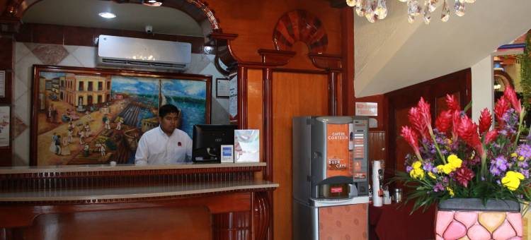 贝兹扎尔酒店(Hotel Báez Carrizal)图片