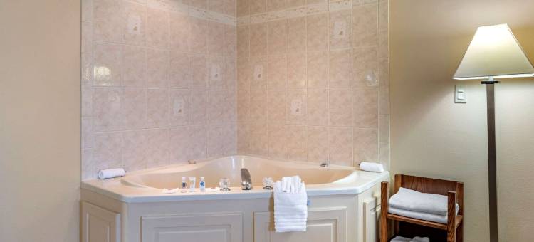 舒适全套房酒店(Comfort Suites)图片