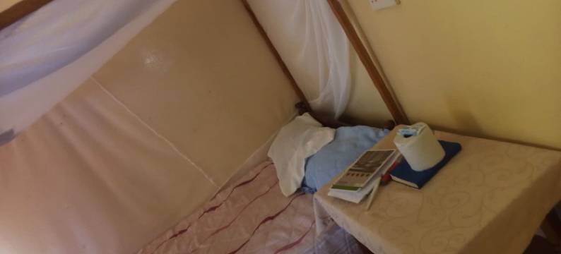 绿洲酒店(The Oasis Hotel)图片