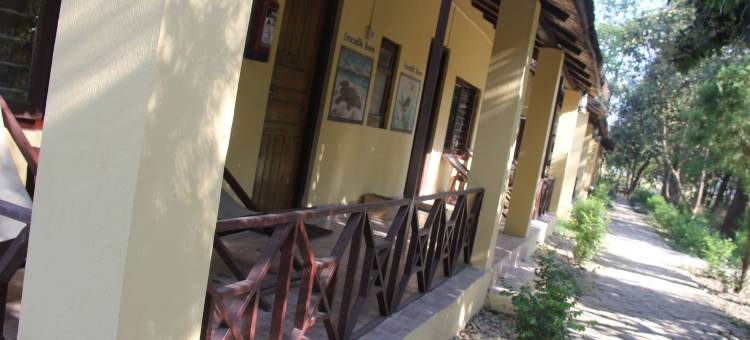 莱诺巴尔迪亚旅馆(Rhino Lodge Bardia Pvt Ltd)图片