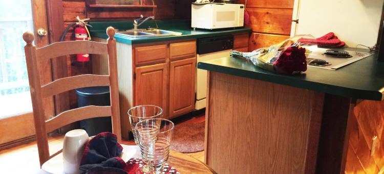 加特林堡阿拉斯加探险小屋酒店(Gatlinburg Adventure Cabins)图片