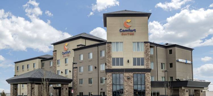 舒适套房酒店(Comfort Suites)图片