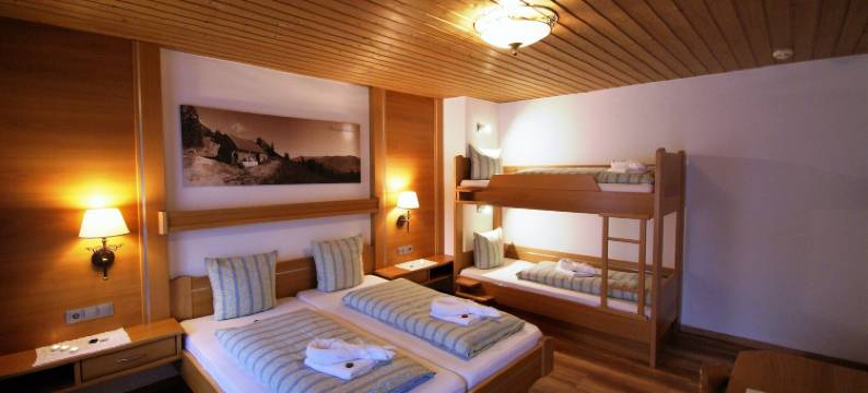 巴哈麦耶霍夫酒店(All Inclusive Hotel Bachmayerhof)图片