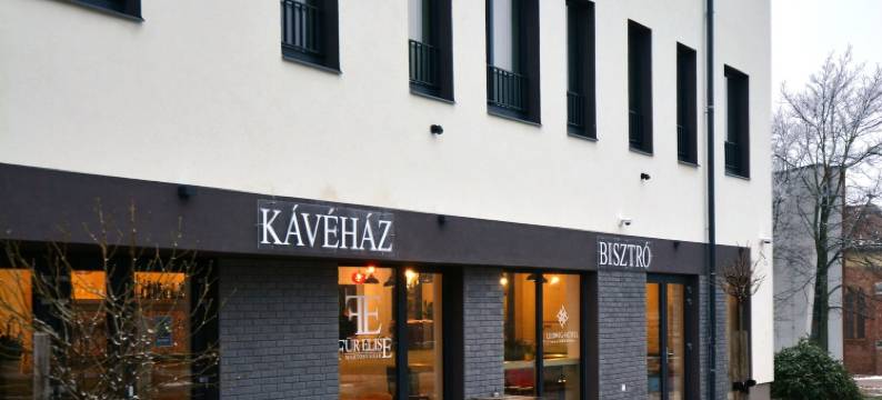 路德维希酒店(Ludwig Hotel)图片