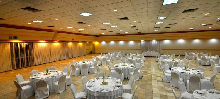 巴耶斯城使命酒店(Hotel Misión Ciudad Valles)图片