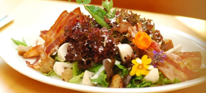 勃劳盖斯夫恩格尔酒店(Brauereigasthof Engel)图片