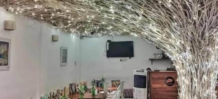 种子度假村(Seed Resort)图片