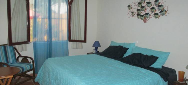 Gem w Pool Near Beaches & 5th Ave. Hi-Speed Wifi, Top-Notch  Location. Kids OK!图片