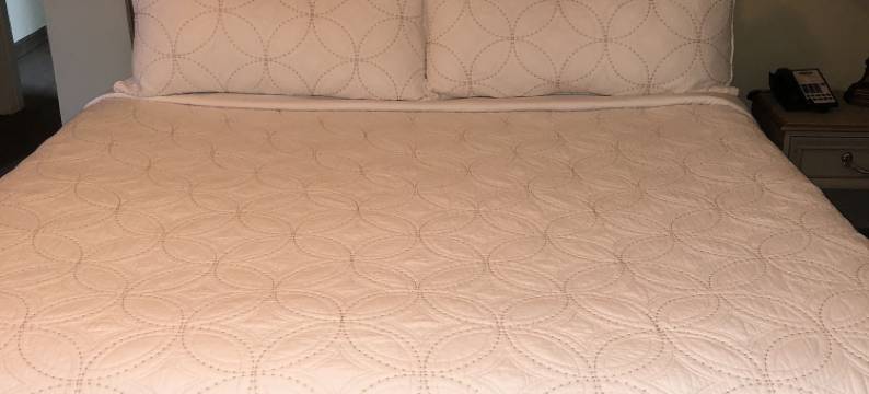 朱丽叶酒店(The Juliet Hotel)图片